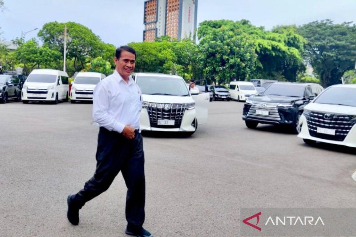 Harga cabai naik, Mentan pastikan segera tekan agar turun